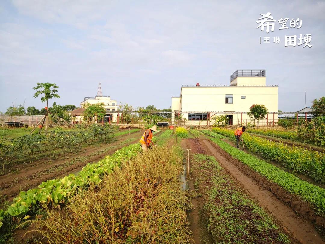 新利luck18(中国区)-官方网站